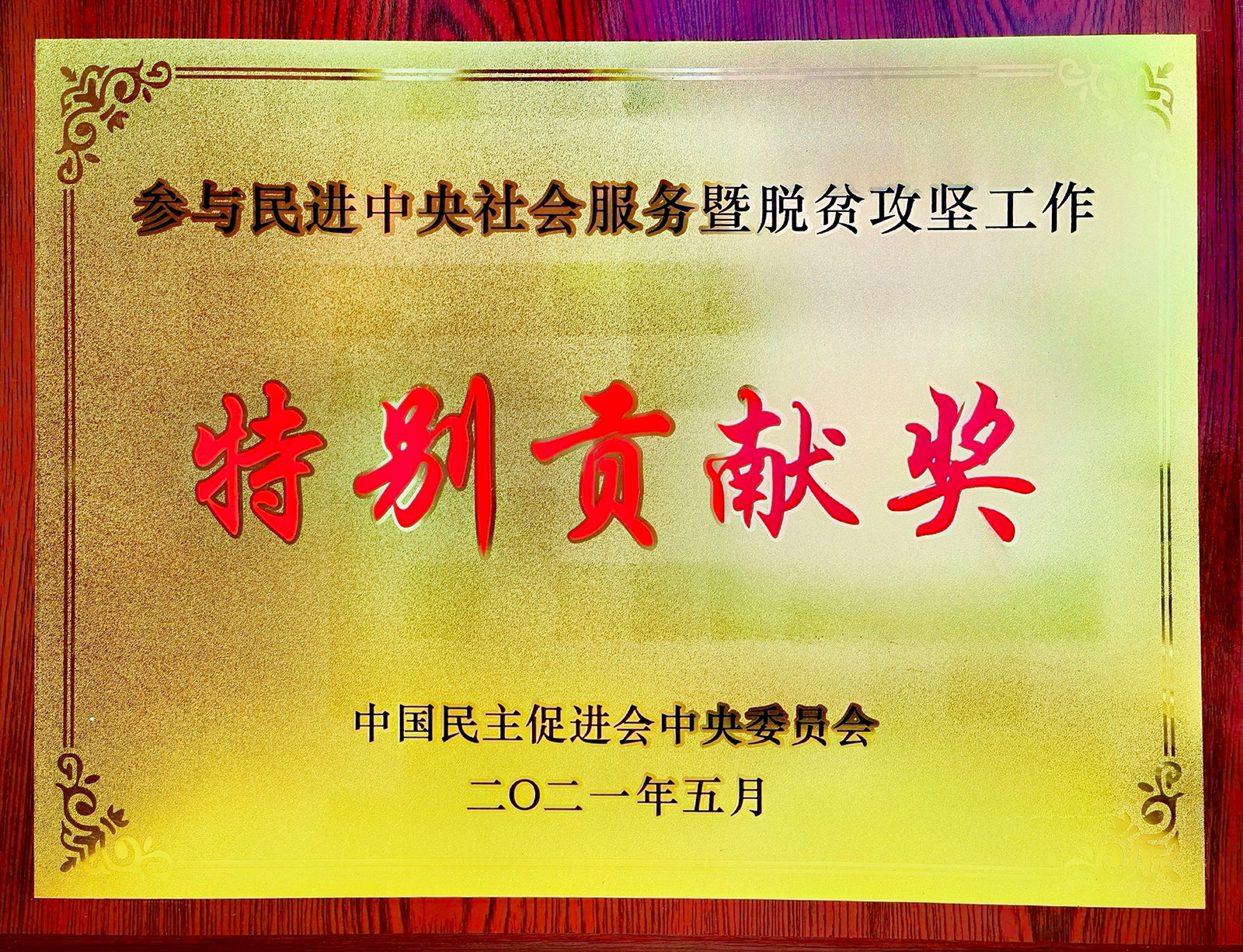 百乐博股份荣获参加民进中央社会服务暨脱贫攻坚工作出格贡献奖.jpg
